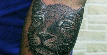 ANIMAL TATTOOS
